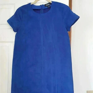 COPY - Lulus faux suede mini dress